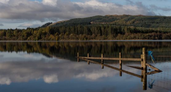 By Loch Awe below Barr-beithe fence in water and tree covered hills