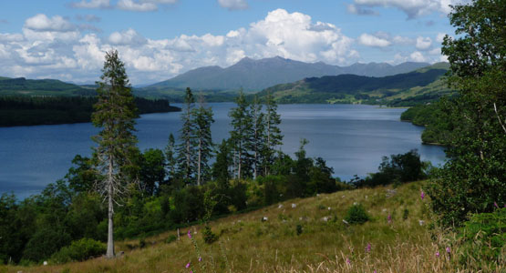 Views from Blarghour Farm